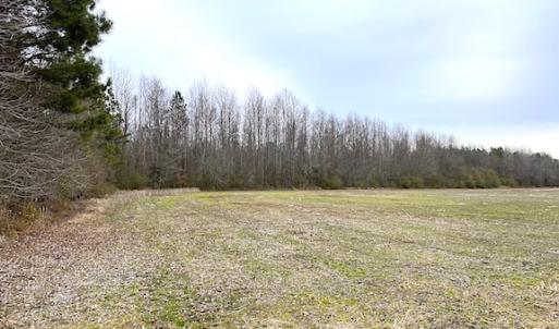 Photo #9 of SOLD property in Off White Marsh Road, Suffolk, VA 13.5 acres