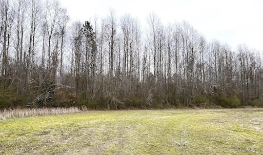 Photo #10 of SOLD property in Off White Marsh Road, Suffolk, VA 13.5 acres