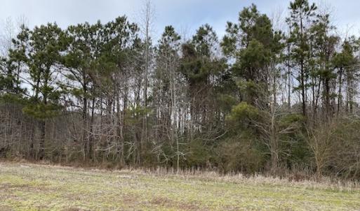 Photo #11 of SOLD property in Off White Marsh Road, Suffolk, VA 13.5 acres