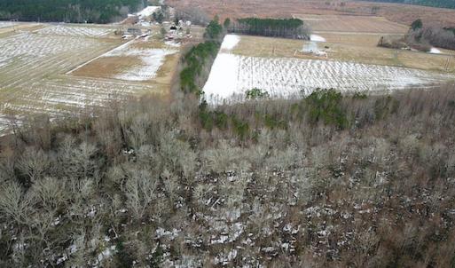 Photo #2 of SOLD property in Off White Marsh Road, Suffolk, VA 7.5 acres