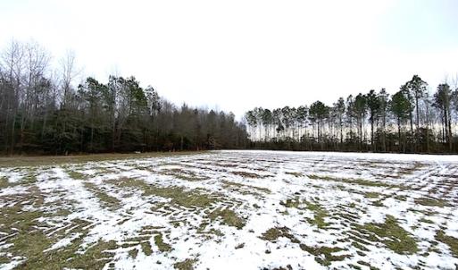 Photo #7 of SOLD property in Off White Marsh Road, Suffolk, VA 7.5 acres