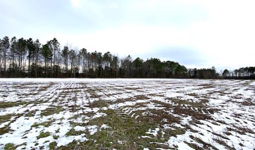 Photo #8 of SOLD property in Off White Marsh Road, Suffolk, VA 7.5 acres