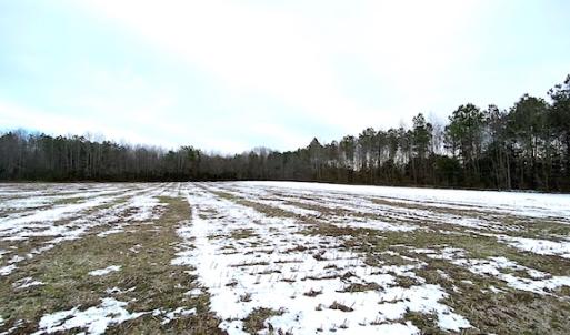 Photo #9 of SOLD property in Off White Marsh Road, Suffolk, VA 7.5 acres