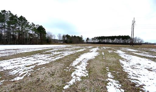 Photo #10 of SOLD property in Off White Marsh Road, Suffolk, VA 7.5 acres