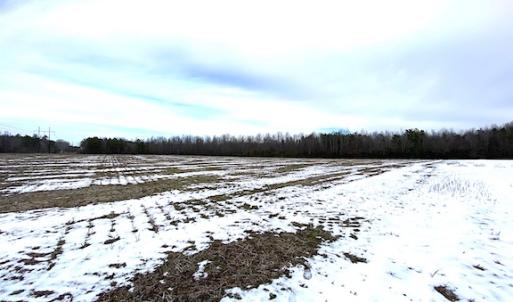 Photo #11 of SOLD property in Off White Marsh Road, Suffolk, VA 7.5 acres