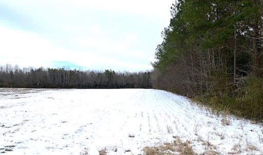 Photo #12 of SOLD property in Off White Marsh Road, Suffolk, VA 7.5 acres