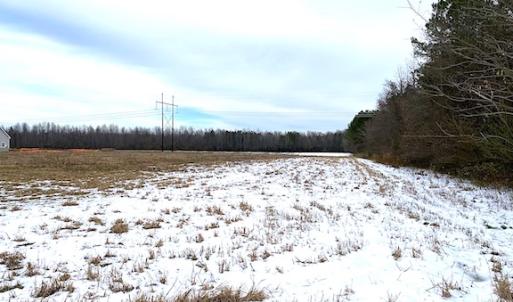 Photo #13 of SOLD property in Off White Marsh Road, Suffolk, VA 7.5 acres