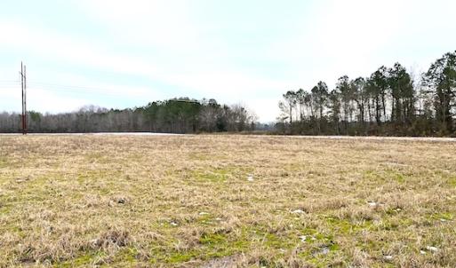 Photo #15 of SOLD property in Off White Marsh Road, Suffolk, VA 7.5 acres