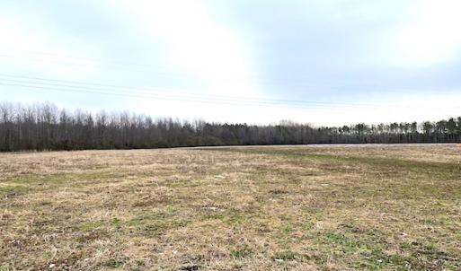 Photo #9 of SOLD property in Off White Marsh Road, Suffolk, VA 7.3 acres