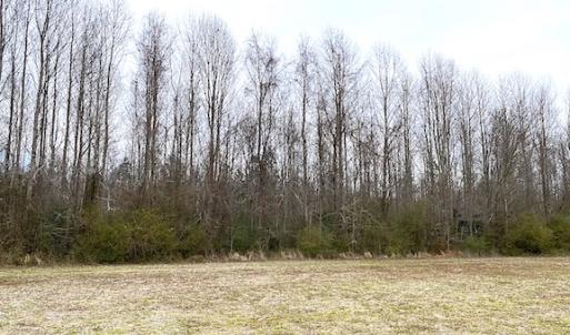 Photo #11 of SOLD property in Off White Marsh Road, Suffolk, VA 7.3 acres
