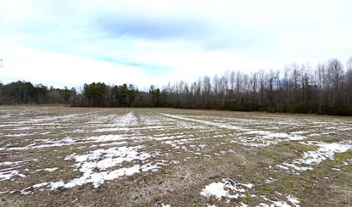 Photo #13 of SOLD property in Off White Marsh Road, Suffolk, VA 7.3 acres