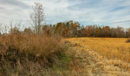 Photo #13 of SOLD property in Off Allie Clay Road, Roxboro, NC 9.8 acres