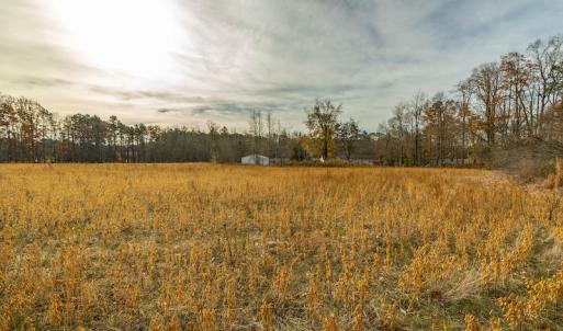 Photo #14 of SOLD property in Off Allie Clay Road, Roxboro, NC 9.8 acres