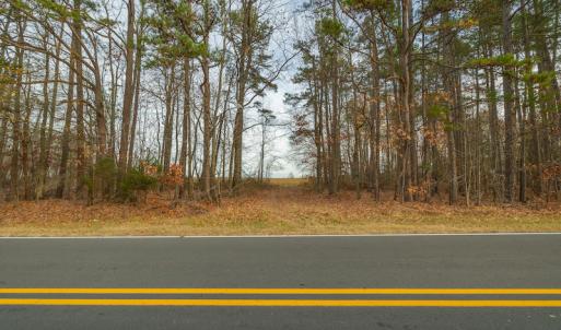 Photo #15 of SOLD property in Off Allie Clay Road, Roxboro, NC 9.8 acres