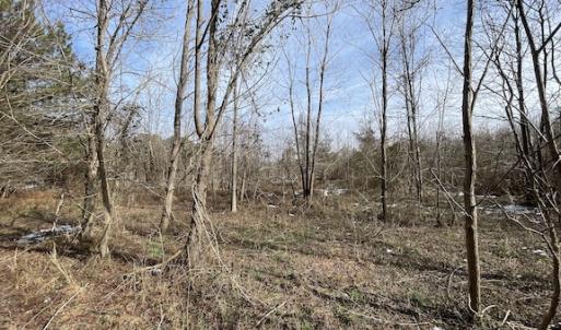 Photo #11 of SOLD property in Off Old Neck Road, Exmore, VA 3.7 acres