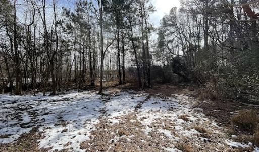 Photo #12 of SOLD property in Off Old Neck Road, Exmore, VA 3.7 acres
