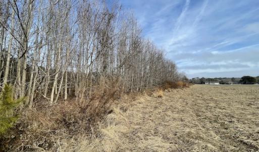 Photo #17 of SOLD property in Off Old Neck Road, Exmore, VA 3.7 acres