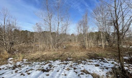 Photo #19 of SOLD property in Off Old Neck Road, Exmore, VA 3.7 acres