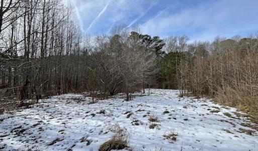 Photo #21 of SOLD property in Off Old Neck Road, Exmore, VA 3.7 acres