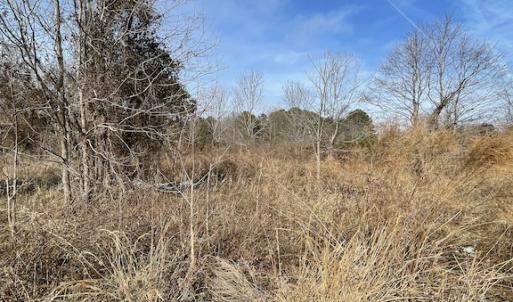 Photo #23 of SOLD property in Off Old Neck Road, Exmore, VA 3.7 acres