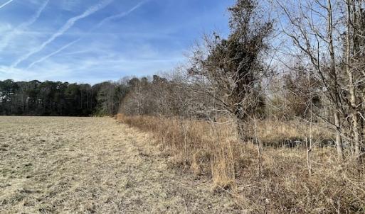 Photo #24 of SOLD property in Off Old Neck Road, Exmore, VA 3.7 acres
