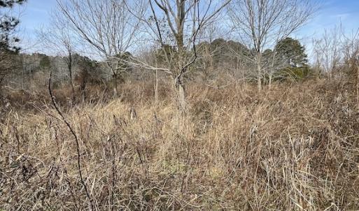 Photo #27 of SOLD property in Off Old Neck Road, Exmore, VA 3.7 acres