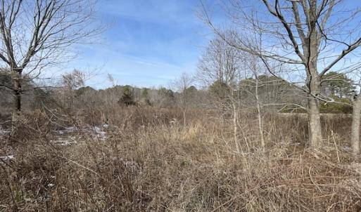 Photo #28 of SOLD property in Off Old Neck Road, Exmore, VA 3.7 acres