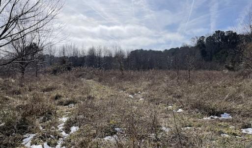 Photo #3 of SOLD property in Off Old Neck Road, Exmore, VA 3.7 acres