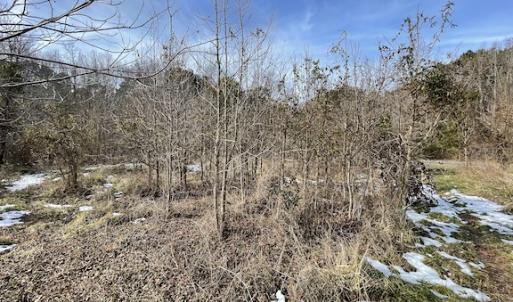 Photo #33 of SOLD property in Off Old Neck Road, Exmore, VA 3.7 acres