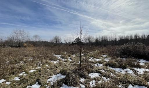 Photo #4 of SOLD property in Off Old Neck Road, Exmore, VA 3.7 acres