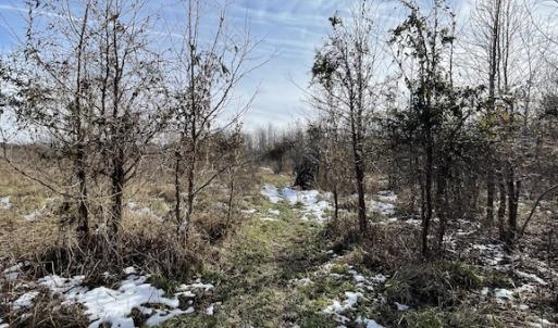 Photo #6 of SOLD property in Off Old Neck Road, Exmore, VA 3.7 acres