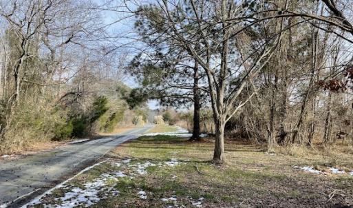 Photo #8 of SOLD property in Off Old Neck Road, Exmore, VA 3.7 acres