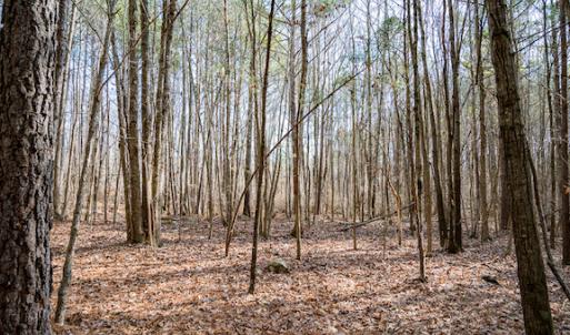 Photo #11 of SOLD property in 1147 Henderson Tanyard Road, Pittsboro, NC 5.9 acres