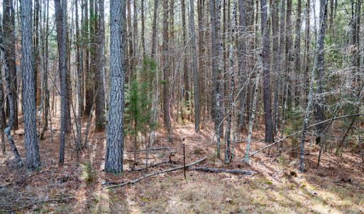 Photo #13 of SOLD property in 1147 Henderson Tanyard Road, Pittsboro, NC 5.9 acres
