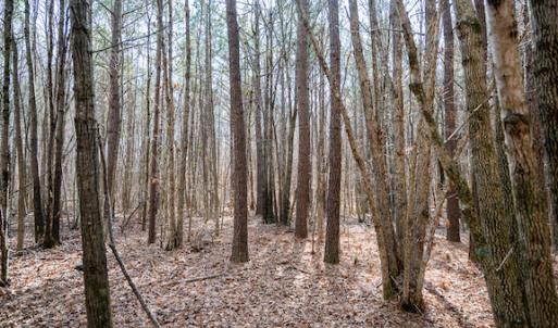 Photo #15 of SOLD property in 1147 Henderson Tanyard Road, Pittsboro, NC 5.9 acres