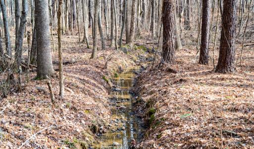 Photo #17 of SOLD property in 1147 Henderson Tanyard Road, Pittsboro, NC 5.9 acres