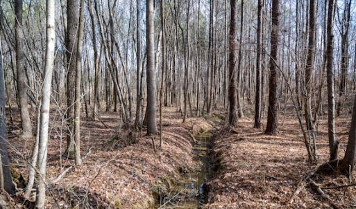 Photo #19 of SOLD property in 1147 Henderson Tanyard Road, Pittsboro, NC 5.9 acres