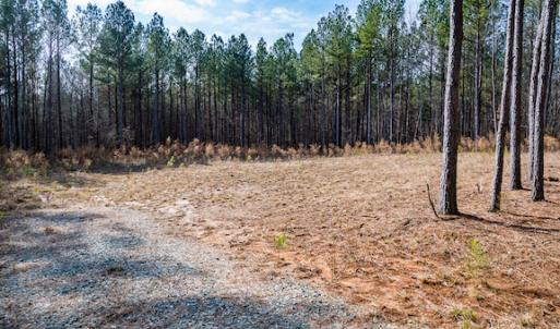 Photo #8 of SOLD property in 1147 Henderson Tanyard Road, Pittsboro, NC 5.9 acres