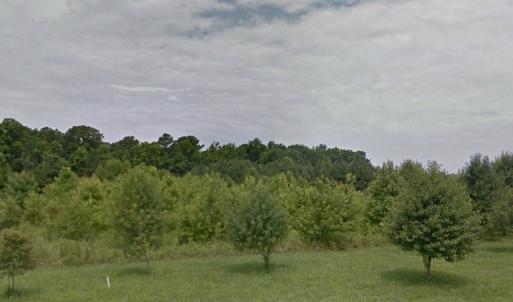 Photo #2 of SOLD property in 4639 Desert Road, Suffolk, VA 1.0 acres