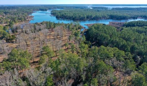 Photo #3 of SOLD property in Off Highway 304, Bayboro, NC 16.6 acres