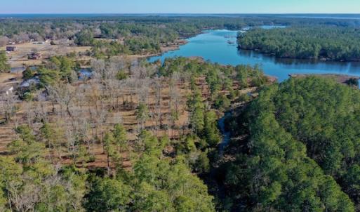 Photo #4 of SOLD property in Off Highway 304, Bayboro, NC 16.6 acres