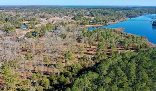 Photo #5 of SOLD property in Off Highway 304, Bayboro, NC 16.6 acres