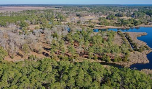 Photo #6 of SOLD property in Off Highway 304, Bayboro, NC 16.6 acres