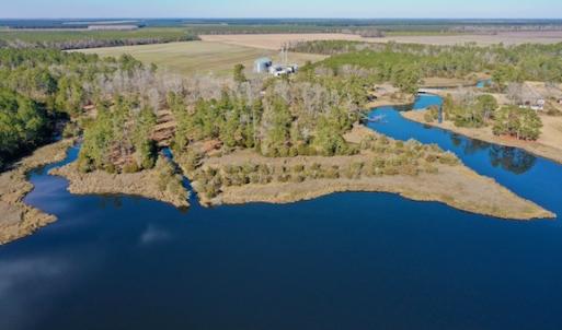 Photo #8 of SOLD property in Off Highway 304, Bayboro, NC 16.6 acres