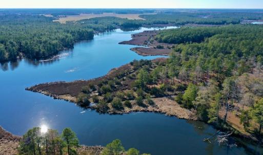 Photo #11 of SOLD property in Off Highway 304, Bayboro, NC 16.6 acres