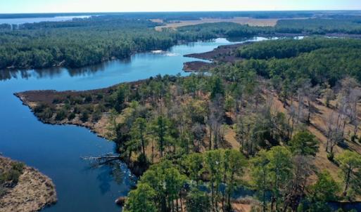 Photo #12 of SOLD property in Off Highway 304, Bayboro, NC 16.6 acres
