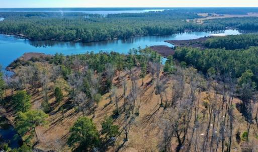 Photo #14 of SOLD property in Off Highway 304, Bayboro, NC 16.6 acres