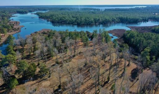 Photo #15 of SOLD property in Off Highway 304, Bayboro, NC 16.6 acres