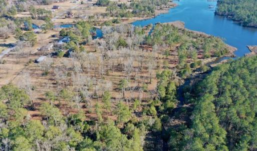 Photo #18 of SOLD property in Off Highway 304, Bayboro, NC 16.6 acres