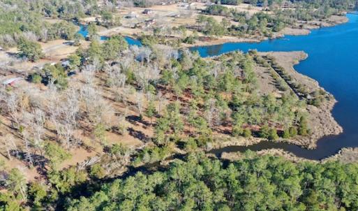 Photo #19 of SOLD property in Off Highway 304, Bayboro, NC 16.6 acres